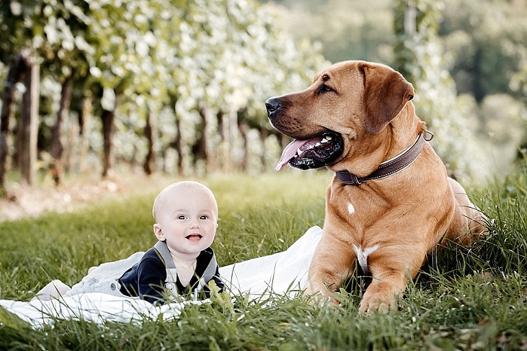 natürliche Familienbilder, Familienfotos, Familienportraits, Familienbilder, Familienfotograf, Familienfotografin, Absolut Fotografie, Tanja Steger